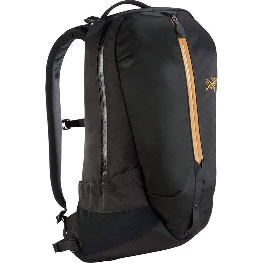 arc(アーク)22 Arc'teryx Arro 22 Backpack (24K Black) : Amazon.ca: Sports